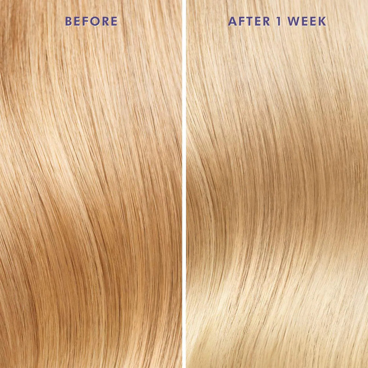 Moroccanoil - Moroccanoil Treatment Purple Hair Oil for Blonde Hair