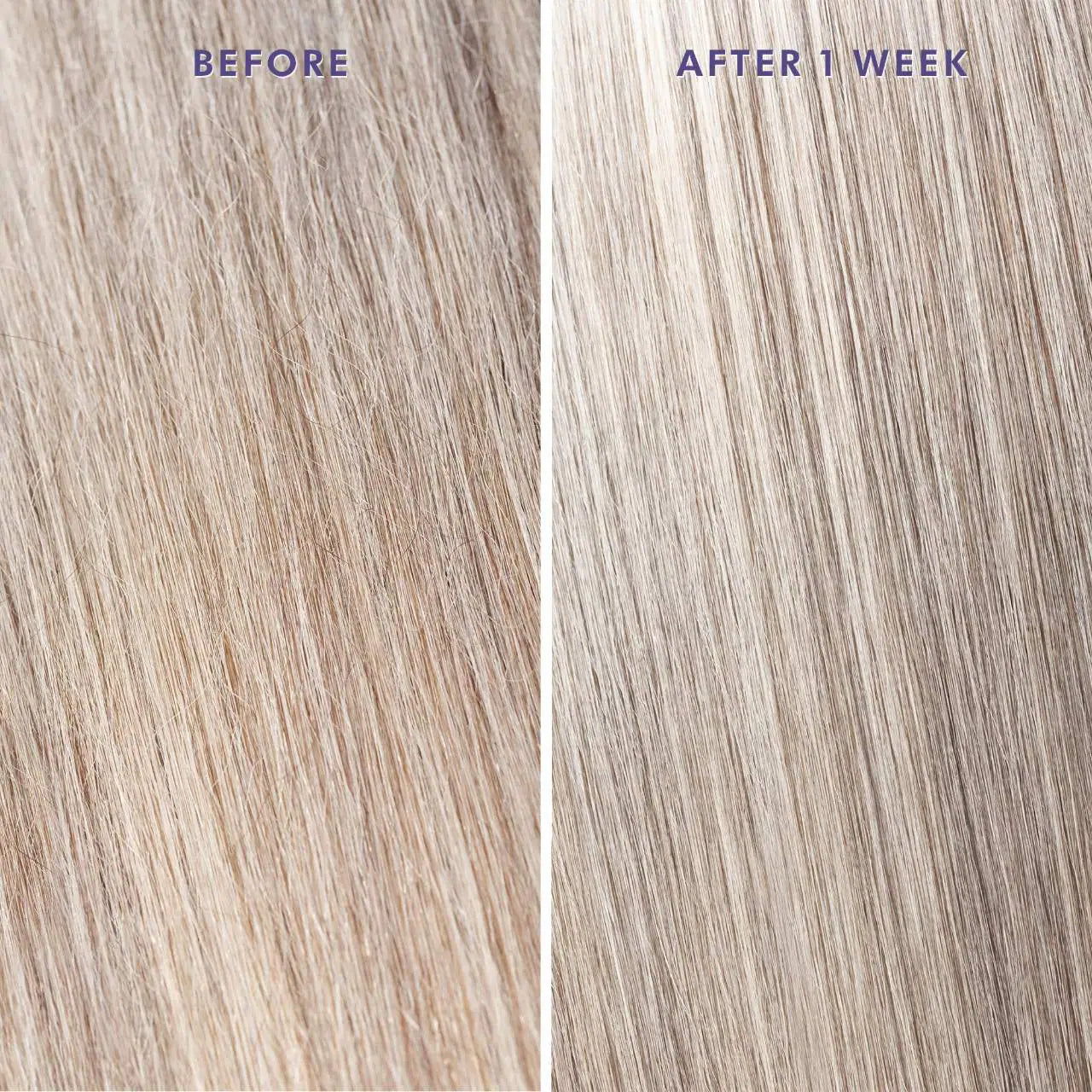 Moroccanoil - Moroccanoil Treatment Purple Hair Oil for Blonde Hair