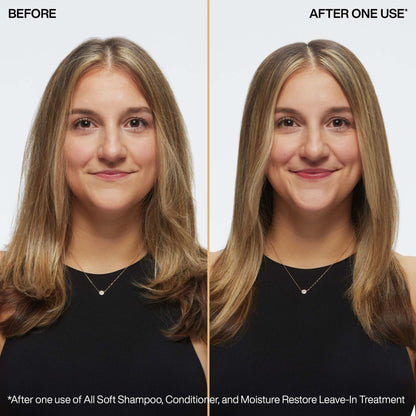 Redken - All Soft Moisture Restore Leave-In